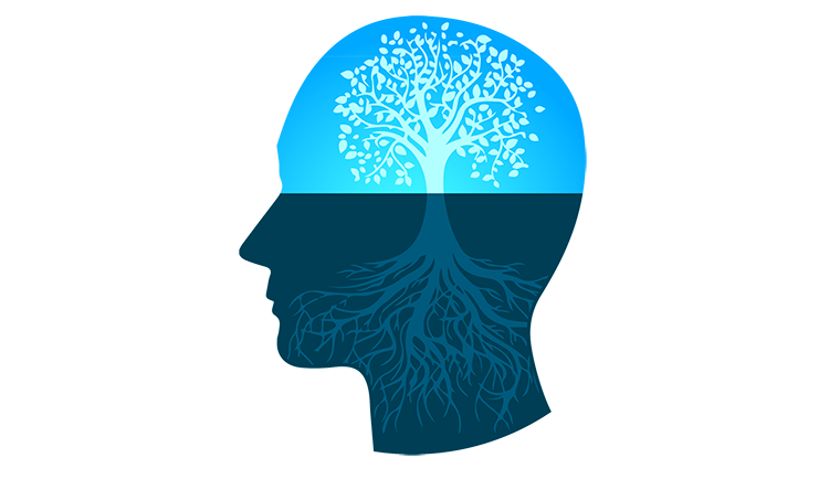 Growth Mindset How To’s