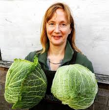 Cabbage College