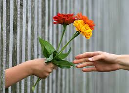 Kindness and Reaping