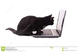 E-Cats (Cats with an E-Business)