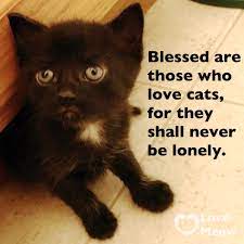 Pet companionship for Seniors