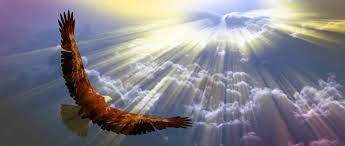 Become a high flyer