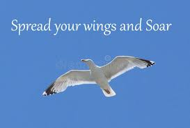 Soar like an Eagle