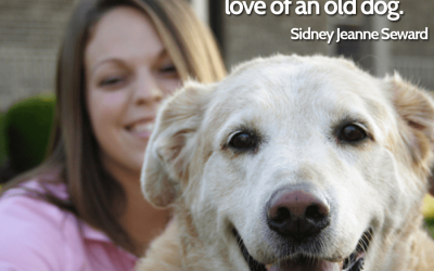 Sentimental quotes about old dogs