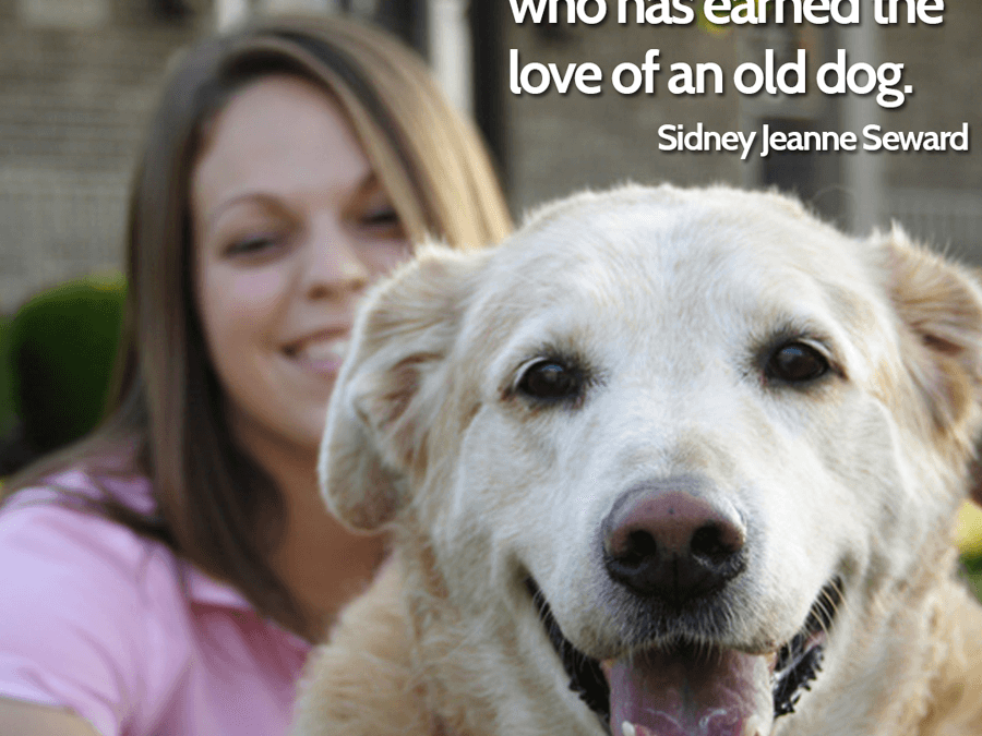 Sentimental quotes about old dogs